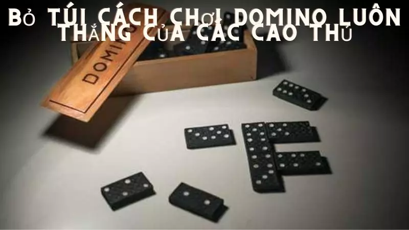 Bo-tui-cach-choi-domino-luon-thang-cua-cac-cao-thu